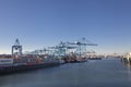 Container terminal in the Rotterdam harbor