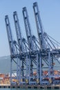 Container terminal in the sea port, view on the gantry cranes.