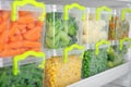 Containers with deep frozen vegetables Royalty Free Stock Photo