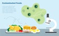 Microcsope display becteria and virus from unclean food testing on table with flies around