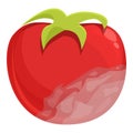 Contaminated tomato icon cartoon vector. Bacteria food