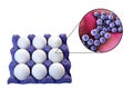 Contamination of eggs with Staphylococcus aureus bacteria, medical concept for transmission of staphylococcal food