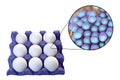 Contamination of eggs with Staphylococcus aureus bacteria, medical concept for transmission of staphylococcal food