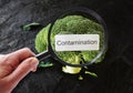 Detecting food contamination Royalty Free Stock Photo