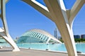 Contemporary Architecture in the City of Arts and Sciences, Valencia