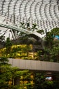 The Jewel, Changi Singapore Airport - Glass and steel roof, tropical garden Royalty Free Stock Photo