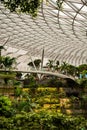 The Jewel, Changi Singapore Airport - Glass and steel roof, tropical garden Royalty Free Stock Photo