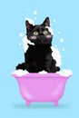 Contemporary art collage. Black cat sitting in bath surrounded soap foam with red cheeks against blue background. Royalty Free Stock Photo