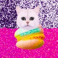 Contemporary funny art collage. Cute kitty macaron lover. Minimal art
