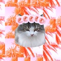 Contemporary art collage. Pretty Kitty tropical princess