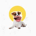 Contemporary art collage. Cute dog, puppy with female mouth element isolated over white background