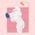 Contemporary art collage of cute, white poodle dog taking shower isolated over pink background