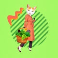 Contemporary art collage. Funny zine design. Paris retro Kitty with bio baskets. Eco market, vegan, healthy food concept