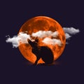 Contemporary art collage. Ideas, inspiration, magic, spooky season. Grace cat sphinx isolated over orange moon