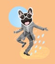 Contemporary art collage. Man, businessman in official suit with dog muzzle, pug head dancing isolated over orange Royalty Free Stock Photo