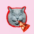Contemporary art collage. Minimal pizza lover concept. Pizza and funny cat.