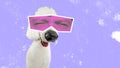 Contemporary art collage. White poodle with human eyes in pink neon filter expressing emotion of contempt. Animals with