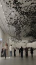 Contemporary art installation of starling flock swarms overhead