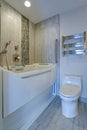 Contemporary bathroom design with Jacuzzi Walk-in Bathtub