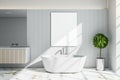 Contemporary bathroom interior with blank poster on wall Royalty Free Stock Photo
