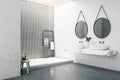 Contemporary bathroom interior with two mirrors, decorative plant, shower and other items. Lifestyle, hotel and design concept. 3D