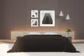 Contemporary bedroom with bed, household supplies and picture on wall
