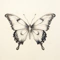 Contemporary Black And White Butterfly Drawing With Supernatural Realism