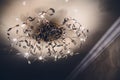 Contemporary chandelier made out of the light bulbs. Royalty Free Stock Photo
