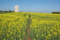 Contemporary chapel in a colza field Royalty Free Stock Photo