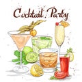 Contemporary Classics Cocktail Set cocktail party Royalty Free Stock Photo