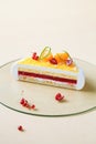 Contemporary Coconut, Raspberry and Tangerine Mousse Cake