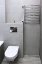 Contemporary design toilet with heated towel rail