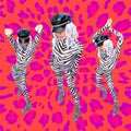 Contemporary digital funky minimal collage poster. Fashion zebra Ladies. Trendy look. Back in 90s. Pop art zine fashion, music,