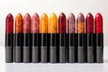 Contemporary elegance: lipstick palette magic Royalty Free Stock Photo