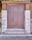 Contemporary elegant house metal door