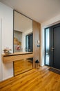 Contemporary entranceway with a large mirror and dark wooden flooring, perfect for a modern home