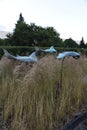 Contemporary garden sculpture of cramp fish in waves of grasses and bushes on background