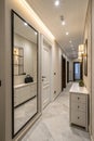 Modern hallway interior with mirror and storage unit Royalty Free Stock Photo