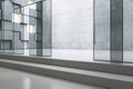 Contemporary hallway interior in building with glass doors and concrete floor. Architecture and modern design concept. 3D Royalty Free Stock Photo