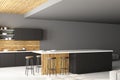 Contemporary kitchen with copyspace