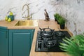 Contemporary kitchen with gold-colored brass sink and gas hob