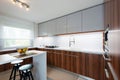 Contemporary kitchen interior Royalty Free Stock Photo