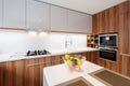 Contemporary kitchen interior Royalty Free Stock Photo