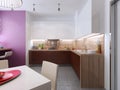 Contemporary Kitchen Style