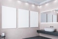 Contemporary loft bathroom with three blank poster Royalty Free Stock Photo
