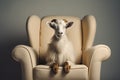 A contemporary luxury armchair with a funny goat sitting on it