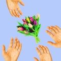 Contemporary minimal art collage. Hands and bouquet of tulips. Congratulations, international women`s day concept