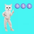 Contemporary minimal collage art. Funny Kitty trader. Digital currency concept. Crypto money. Crypto wallets