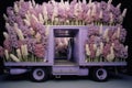 Contemporary purple flower truck, for Valentine\'s Day, contains many giant cymbidium flowers