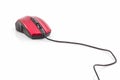 Contemporary red with black computer mouse . Royalty Free Stock Photo